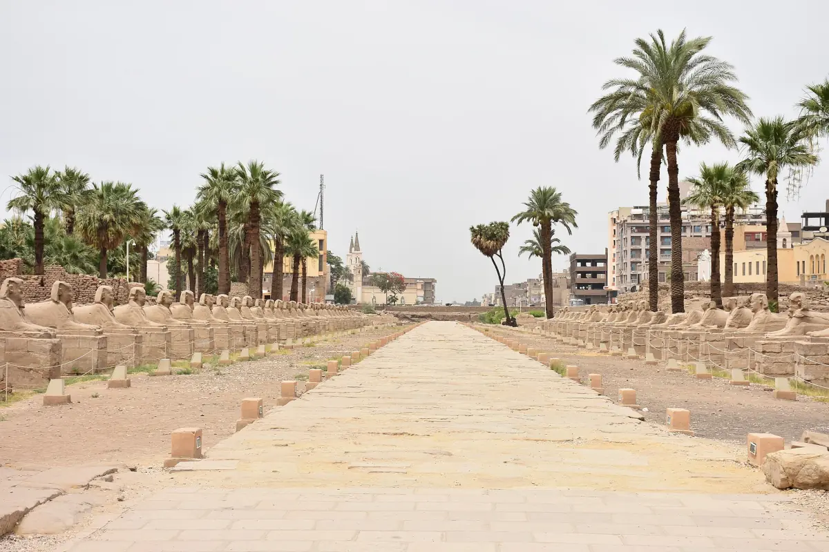 Allée rectiligne en pierre bordée de statues de sphinx et de palmiers à Louxor
