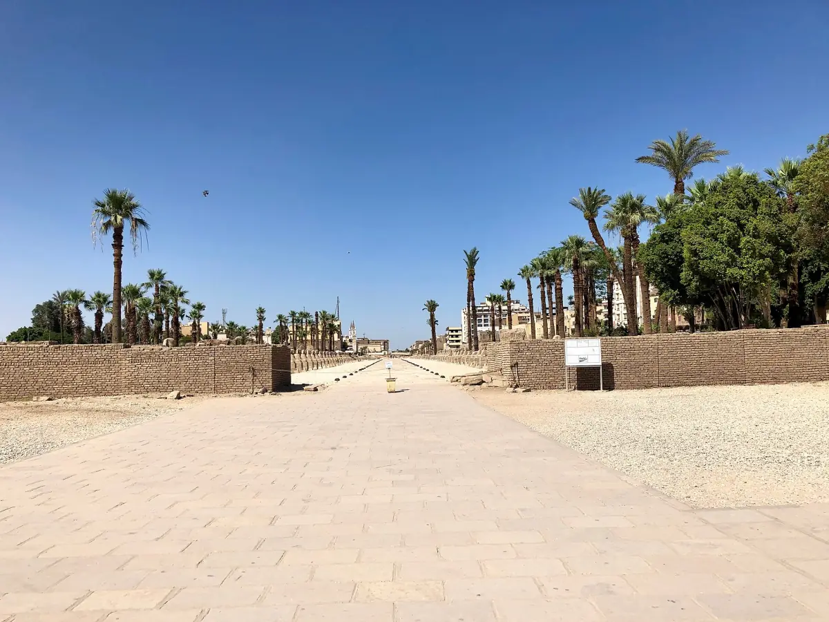 Wide paved avenue of sphinxes with palm trees under a clear sky