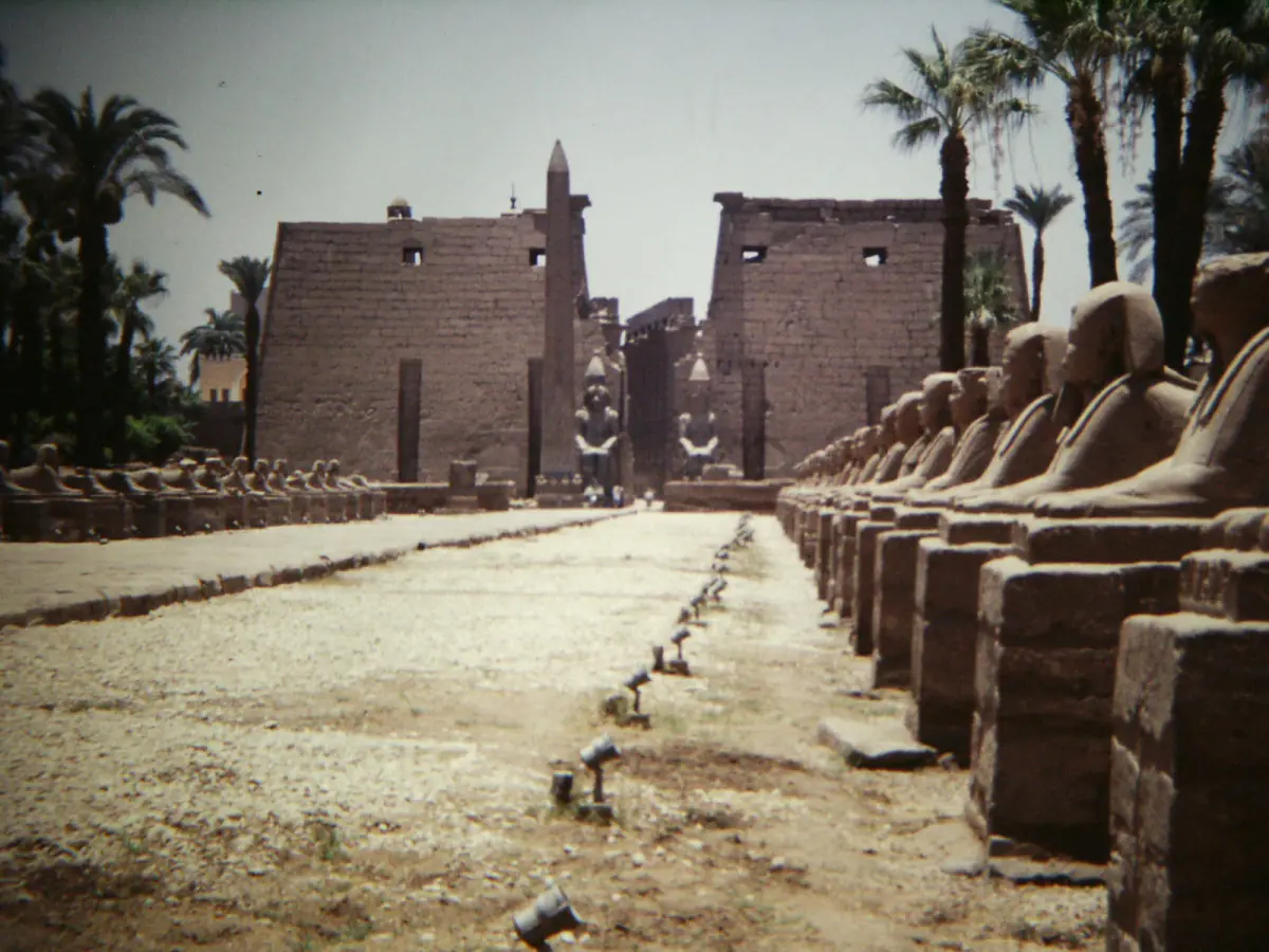 Row of sphinx statues leading toward the pylon of Luxor Temple