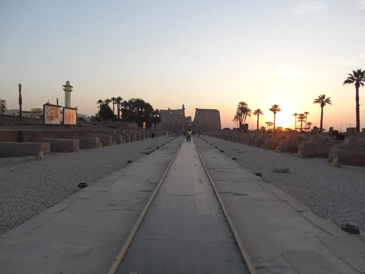 Long ancient road between Luxor and Karnak at sunrise with palm trees