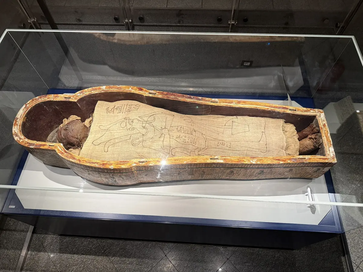 Mummy in an open wooden coffin inside a glass case in a museum